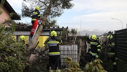 Umgestürzte Bäume sorgten am Montag für Chaos in Österreich. (Bild: APA/THOMAS ZEILER)