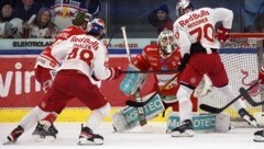 Noch einmal: Eisbullen- Schüsse auf Goalie Harvey. (Bild: Tröster Andreas)