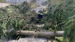 Unermüdlich kämpften die steirischen Feuerwehren am Ostermontag gegen die Verwüstungen durch den Föhnsturm. (Bild: BFVMZ)