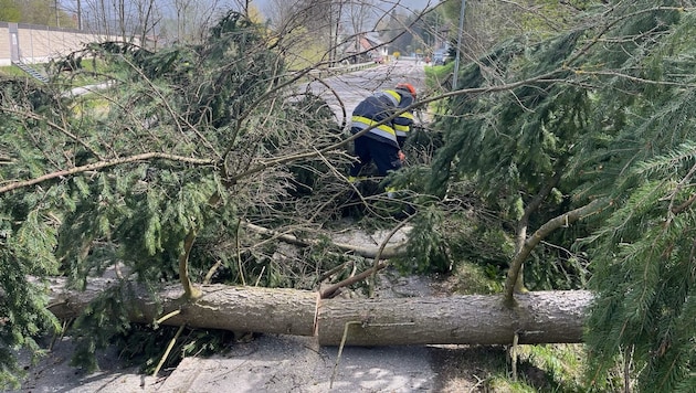 Steiermark itfaiye ekipleri Paskalya Pazartesi günü Föhn fırtınasının yol açtığı yıkıma karşı yorulmadan mücadele etti. (Bild: BFVMZ)