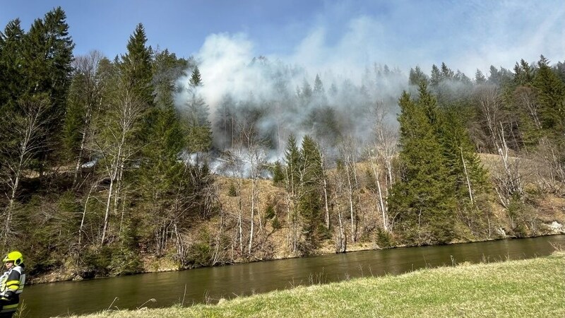 Ein heftiger Waldbrand tobte am Ostermontag in Krampen bei Neuberg an der Mürz.  (Bild: BFVMZ)