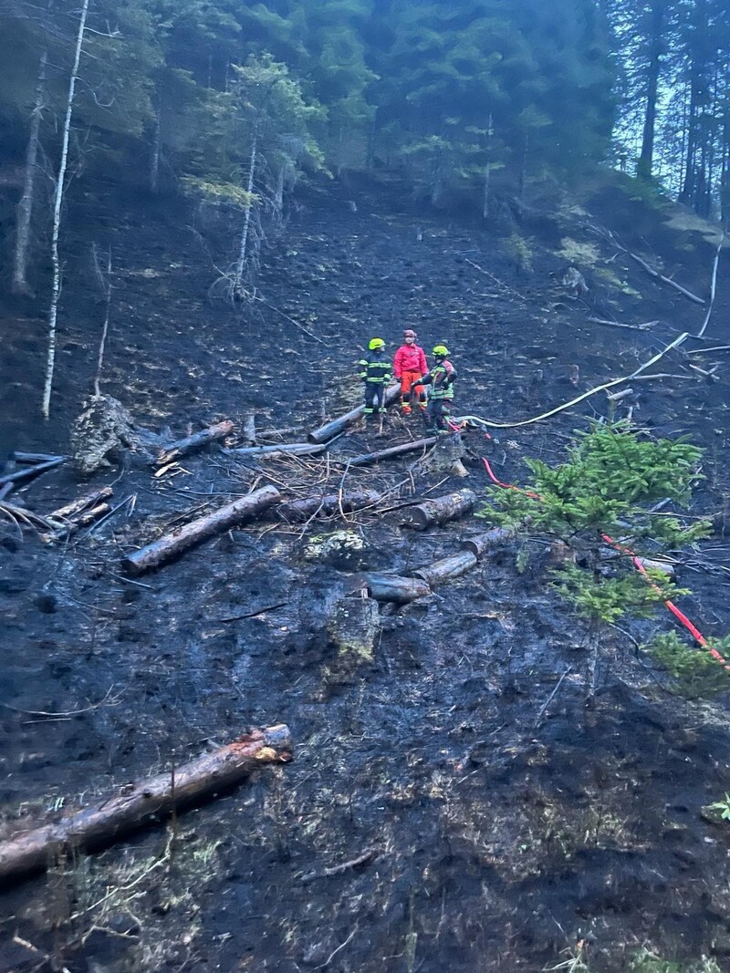 In Wildalpen ist der Waldbrand noch immer nicht vollständig gelöscht. (Bild: Jürgen Niess/FF Kapfenberg Diemlach)