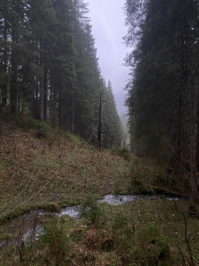 Speziell in der Obersteiermark sind noch immer Hunderte Haushalte ohne Strom.