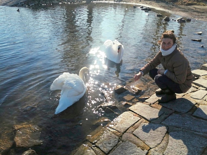 Marina Gruber lovingly looks after the swans.