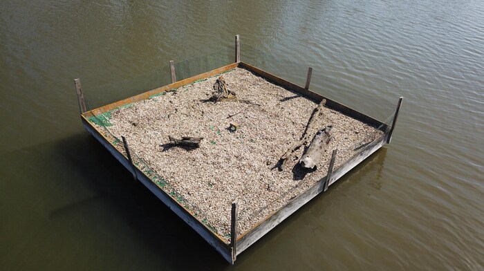 Auf solchen Flößen sollen Flussseeschwalben ihre Nester bauen.
