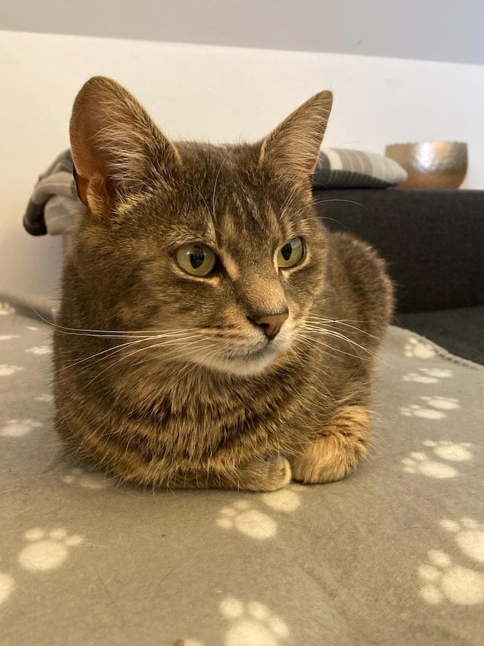 „Rudi“ ist nach neun Monaten wieder daheim.