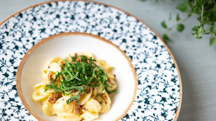 Pasta mit frischem Bärlauch und knusprigem Fungi Pad