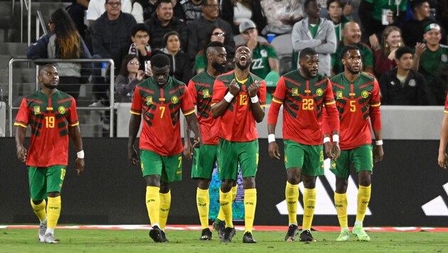 Kamerun hat einen neuen Teamchef auf dem Weg zur WM 2026. (Bild: AFP/GETTY IMAGES/DENIS POROY)