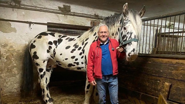 Tierarzt Klaus Fischl mit „Firon“, dem stattlichen „Herrn“ aus Salzburg. Er strotzt vor Vitalität und Lebenskraft. (Bild: Christian Schulter)
