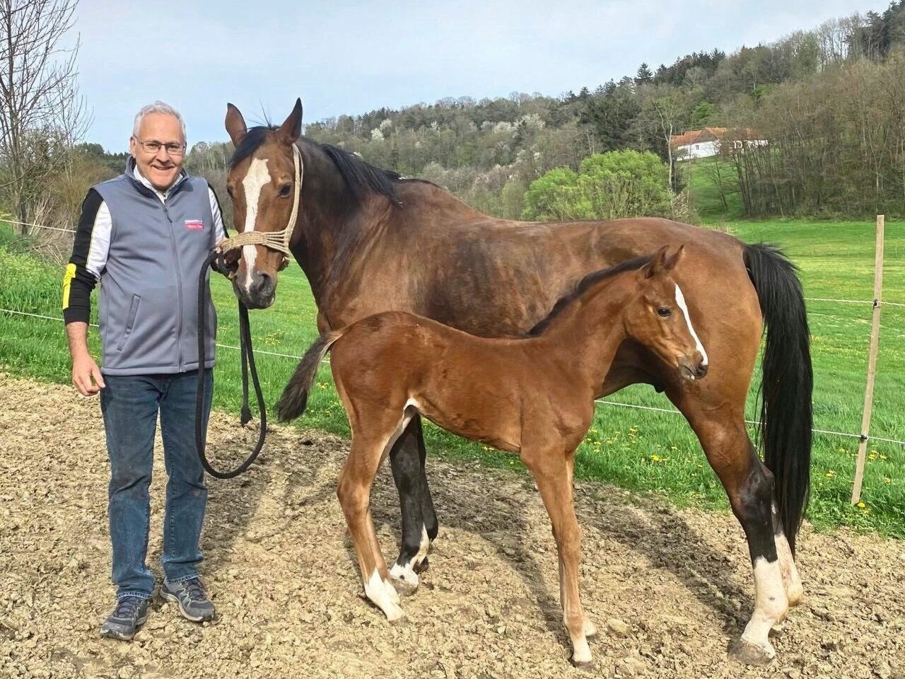 The vet with the five-week-old filly "Supergirl" and her mother. (Bild: Christian Schulter)