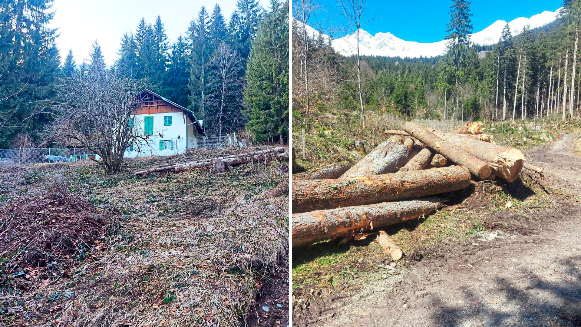 The 1,300 square meter plot is zoned as open land, but is built on. A contaminated site from the 1930s. (Bild: zVg)