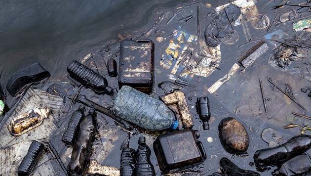 Műanyagszennyezés Havannában (Bild: Greenpeace/Bente Stachowske)