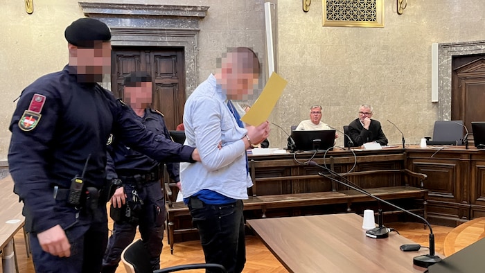 The 23-year-old Viennese at his trial in the Vienna Regional Court.