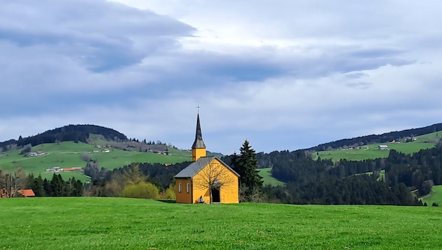 Das Grenzgebiet zwischen Sulzberg und dem Allgäu ist geprägt von sanften Hügeln und idyllischen Weiden. (Bild: Bergauer)