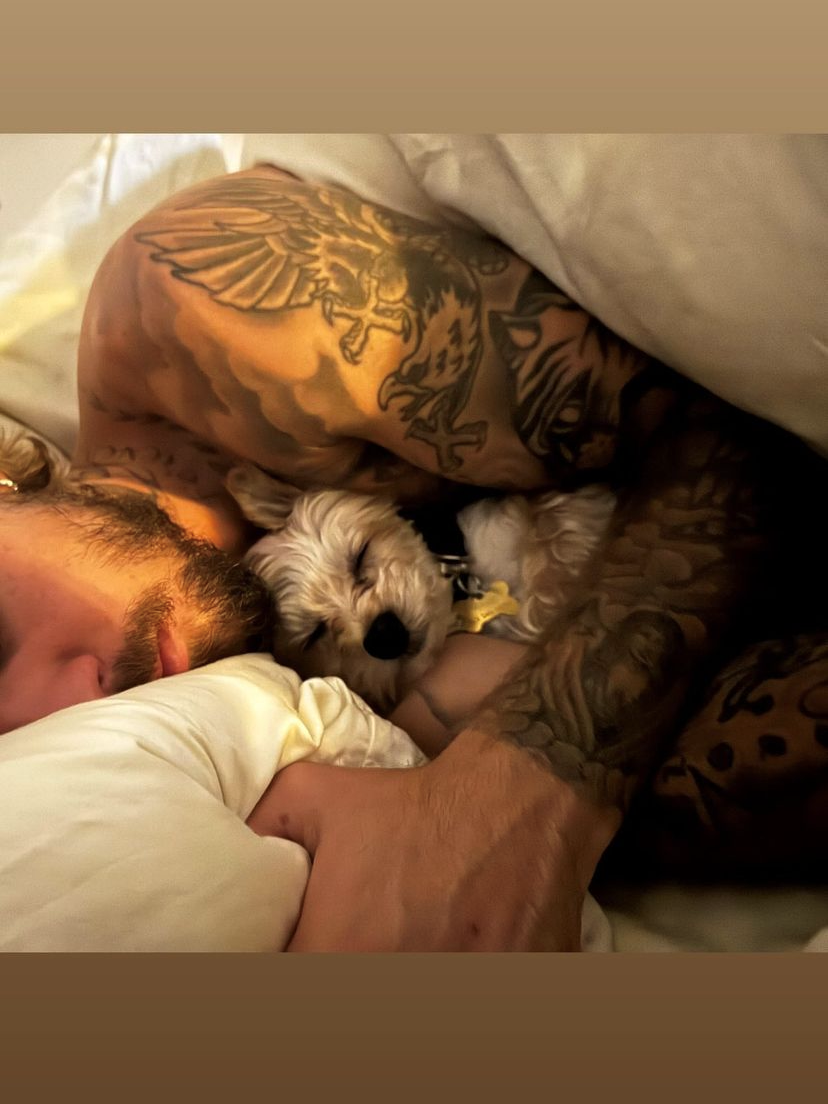 In recent days, the couple have been more intimate on Instagram, like this Instagram story of Hailey. The photo shows Justin sleeping and their dog together. (Bild: www.instagram.com/haileybieber/)