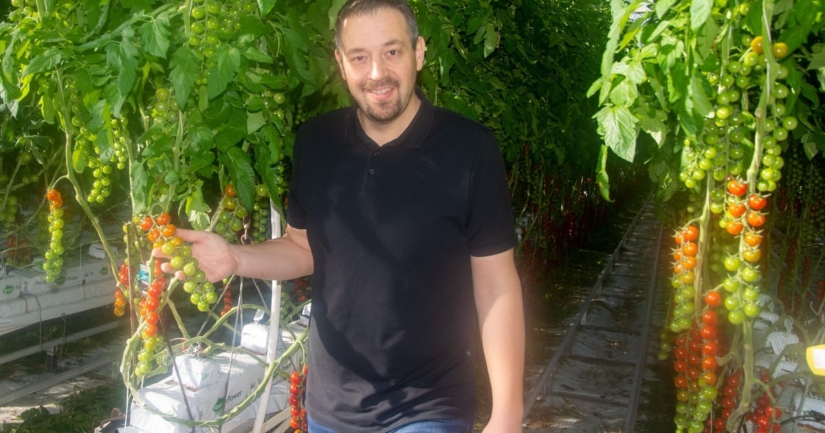 Viele, bunte Vitamine - „Paradiesäpfel“aus Bezirk Neusiedl sind reif ...