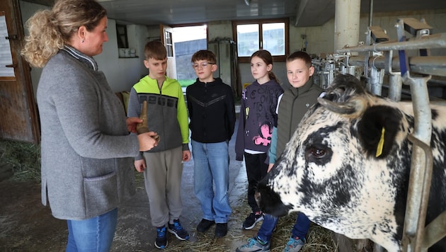Das mächtige Rind nötigt den Kindern Respekt ab (im Bild mit Bäuerin Johanna Strasser). (Bild: Birbaumer Christof)