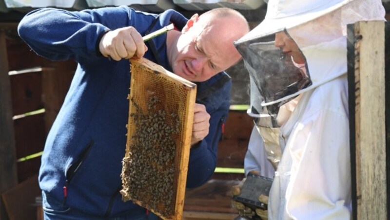 Wie machen die Bienen den Honig? Eine spannende Frage. (Bild: Birbaumer Christof)