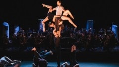 Aus Australien nach Austria: Circa Contemporary Circus aus Brisbane (Bild: Paul Bourdrel)