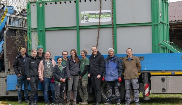 Das Team des Zoo Schmiding trainierte mit dem Nashorn wochenlang das Einsteigen