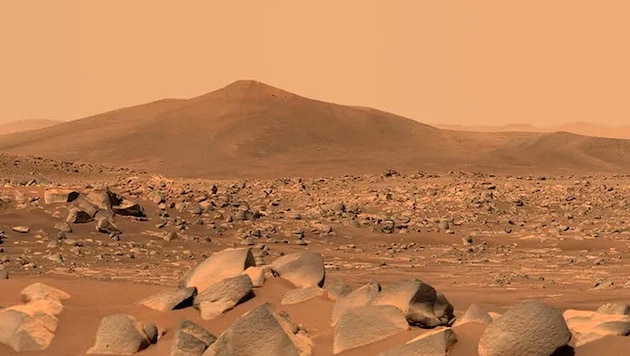 Images from the Mars rover "Perseverance" show that thousands of light-colored stones are scattered across the otherwise rust-red Martian soil. (Bild: NASA/JPL-Caltech)