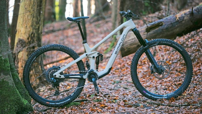 Das „Bergkrone“-Bike um 2999 Euro!