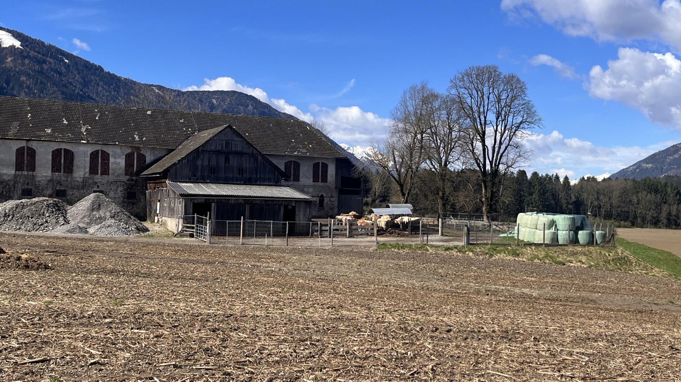 Farmers make an important contribution to biodiversity in nature. (Bild: Elisa Aschbacher)