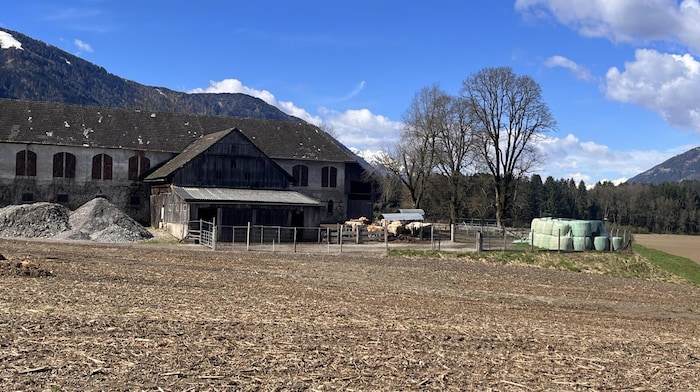 Bauern tragen einen wichtigen Beitrag zur Artenvielfalt in der Natur bei.