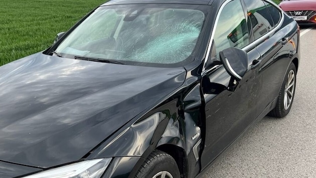 The car hit the deer. It was thrown directly onto a cyclist. (Bild: Monatsrevue/Thomas Lenger)