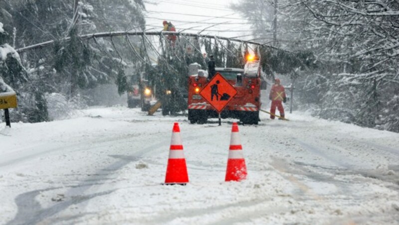 Der Sturm knickte zahlreiche Bäume und Strommasten. (Bild: AP/Portland Press Herald)