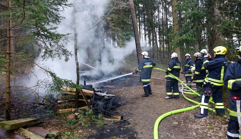 In der Losau im Bezirk Melk stand ein Holzstoß mitten im Forst in Flammen – Gefahr gebannt! (Bild: DOKU-NÖ)