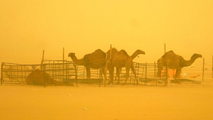 In the Sahara, powerful sandstorms are part of everyday life.