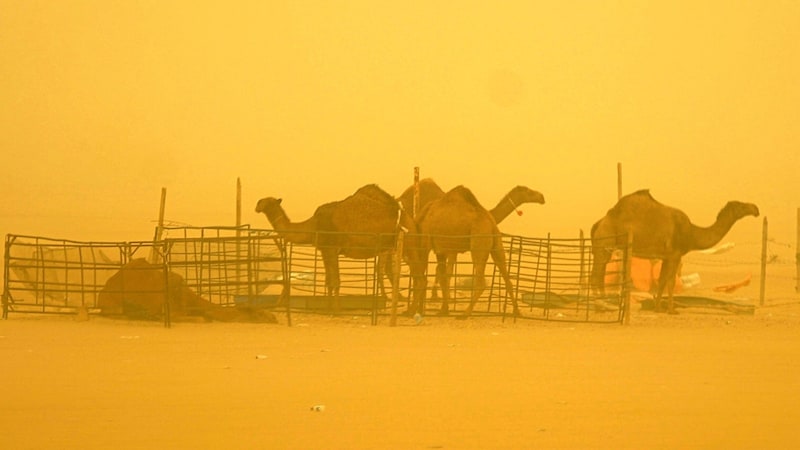 In der Sahara gehören mächtige Sandstürme zum Alltag.  (Bild: EPA)