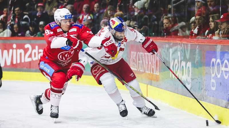 KAC and Salzburg are once again among the favorites for Tommy Koch. (Bild: GEPA pictures)