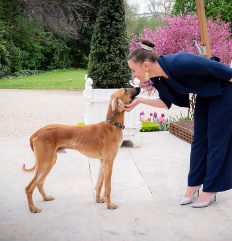 Kanzler-Gattin Nehammer mit dem unbekannten Hund (Bild: Présidence de la République France)