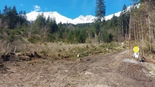 Werk des Forstamtes in der Nähe (Bild: zVg)