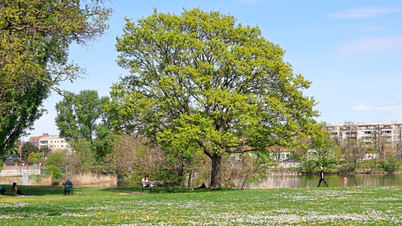 Um 14 Uhr wurde in Wien am Samstag die 25-Grad-Marke geknackt. (Bild: Klemens Groh)