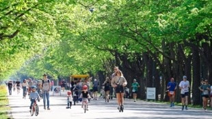 Sonne pur: Das erste April-Wochenende hat sich bereits wie Sommer angefühlt. (Bild: klemens groh)