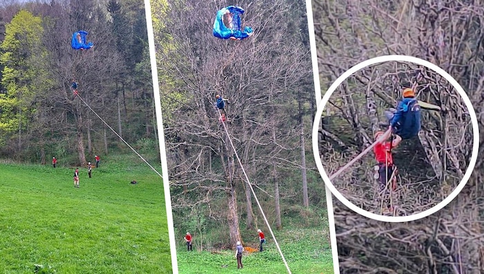 A fák teteje lelassította a siklóernyős zuhanását - és valószínűleg megmentette az életét.