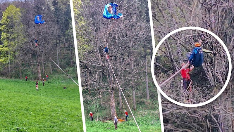 Die Baumkrone bremste den Fall des Paragleiters – und dürfte ihm so das Leben gerettet haben. (Bild: Bergrettung NÖ/Wien, Krone KREATIV)