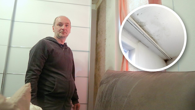 An der Wand neben dem Schrank, an der Decke oder am Fußboden: überall starker Schimmelbefall. Familienvater Amir Povlakic. (Bild: Gerhard Bartel, Krone KREATIV)