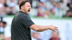 Ralph Hasenhüttl (Bild: GEPA pictures)