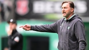 Ralph Hasenhüttl ist seit seinem Aus im Mai beim VfL Wolfsburg vereinslos.