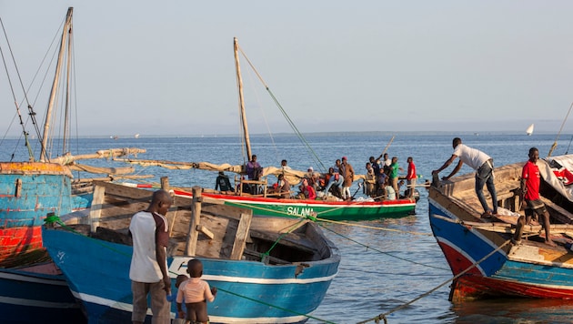 Fischerboote vor der Küste Mosambiks (Archivbild) (Bild: APA/AFP/Alfredo Zuniga)
