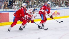 Die Salzburger um Dennis Robertson (Mi., gegen KAC-Ass Petersen) fielen am Sonntag leicht. (Bild: GEPA pictures)