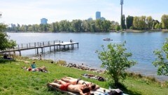 An der Alten Donau wird schon kräftig Sonne getankt. Mit knapp 18 Grad Wassertemperatur ist das Schwimmen derzeit allerdings nur etwas für Hartgesottene. (Bild: klemens groh)