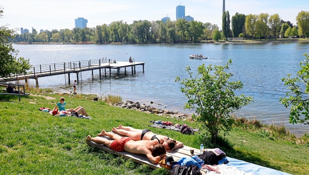 An der Alten Donau wird schon kräftig Sonne getankt. Mit knapp 18 Grad Wassertemperatur ist das Schwimmen derzeit allerdings nur etwas für Hartgesottene. (Bild: klemens groh)