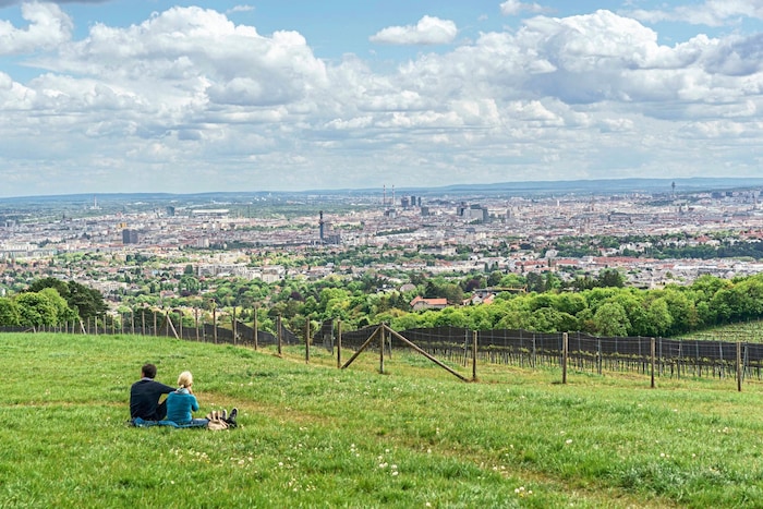 The view over the Bellevue meadow is free.