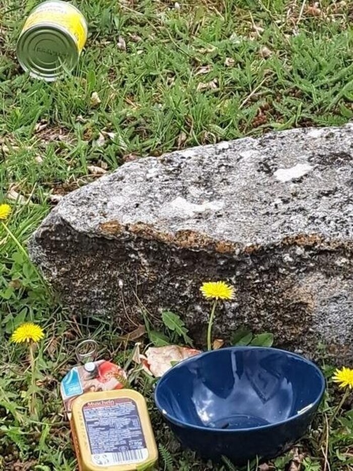 Teilweise landet der Abfall in der Wiesen.