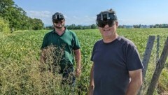 Mit der Software habe man eine Brücke zwischen den Satellitendaten und der Realität am Feld geschaffen, freuen sich die Forscher. (Bild: FH ST. Pölten/Matthias Husinsky)